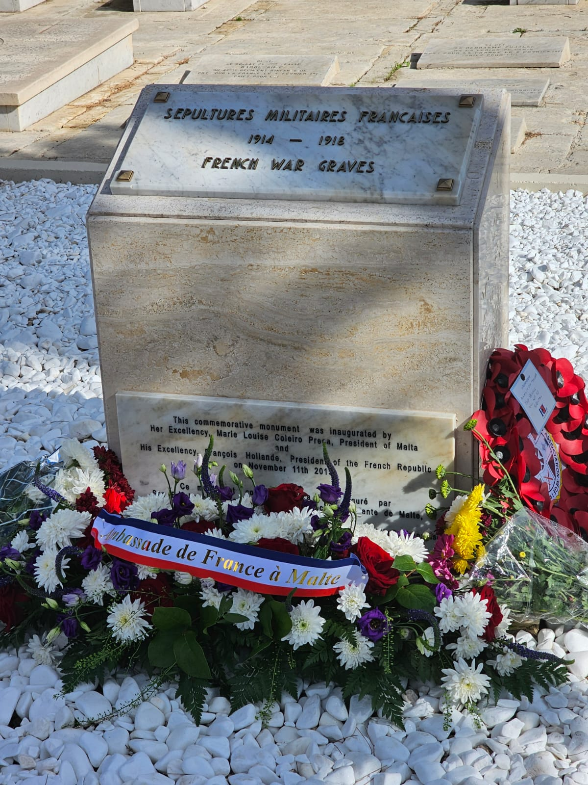 Photograph 9 of 9 from 11 November 2025